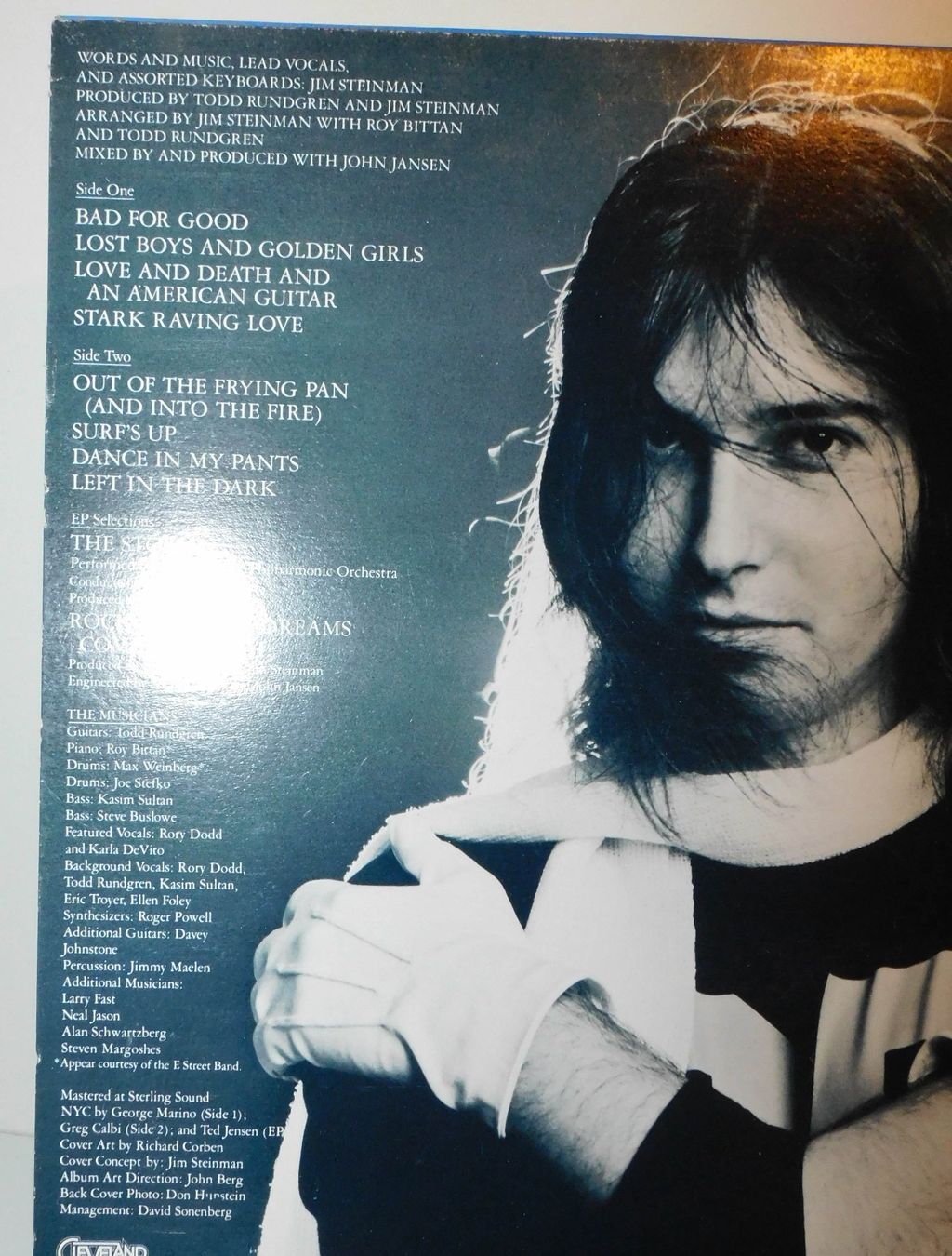 Dischi in vinile: Lp Jim Steinman - 1981 Schallplatte – Usato da Sursee venduto da 76 3