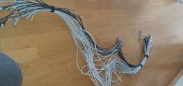 Konvolut Netzwerkkabel RJ45 – gebraucht