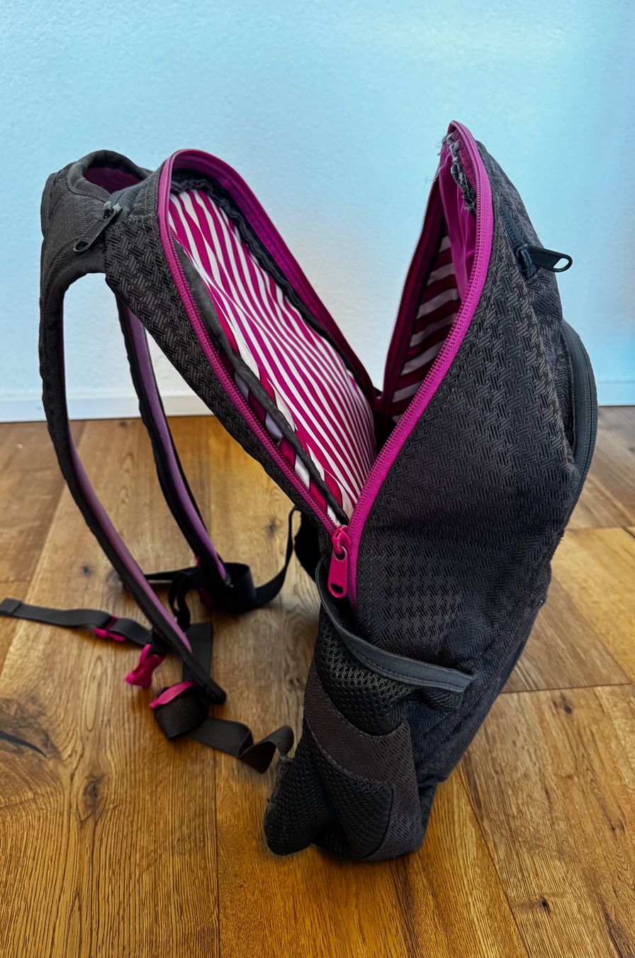 Dakine Rucksäcke: DAKINE Rucksack - grau/pink – Gebraucht aus Gams von sar_sx57 2