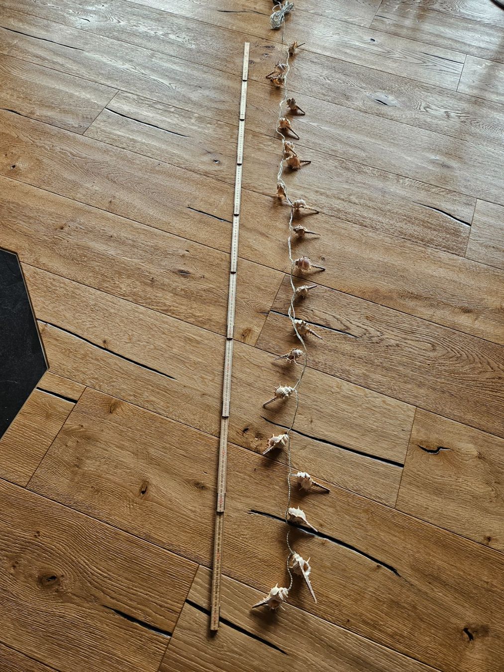 Ghirlande e barre luminose: Muschel Lichterkette, Sommer Deko – Nuovo (secondo la descrizione) da Maseltrangen venduto da Chrusli7 6