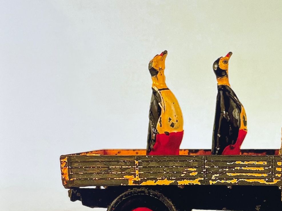 Foto & Immagini: Poster print - two penguins on truck – Nuovo (secondo la descrizione) da Genthod venduto da lightyear63 1
