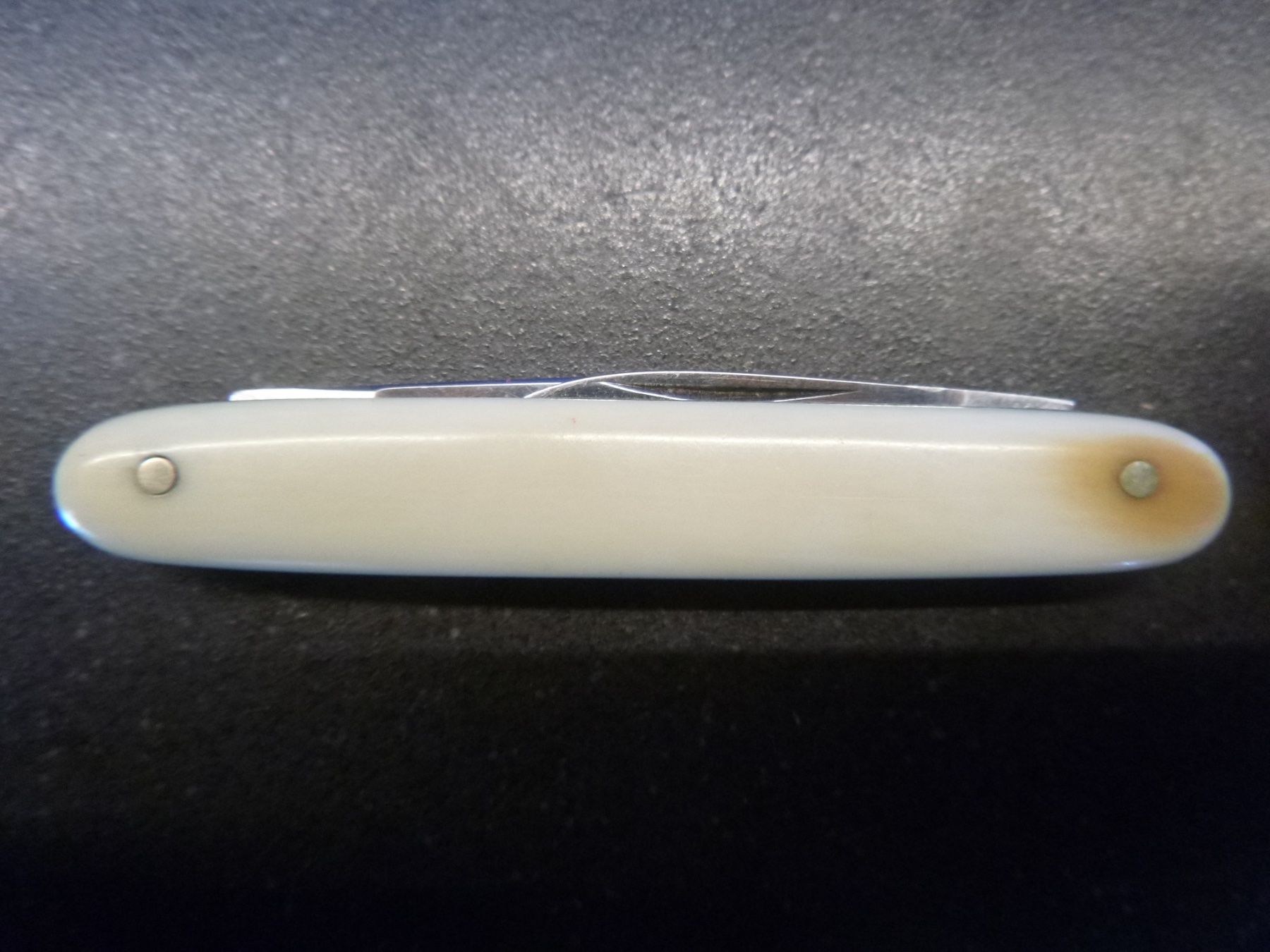 Coltelli tascabile: Inoxyd-Taschenmesser mit Bein-Griffschalen – Usato da Freudwil venduto da Traktor57 4
