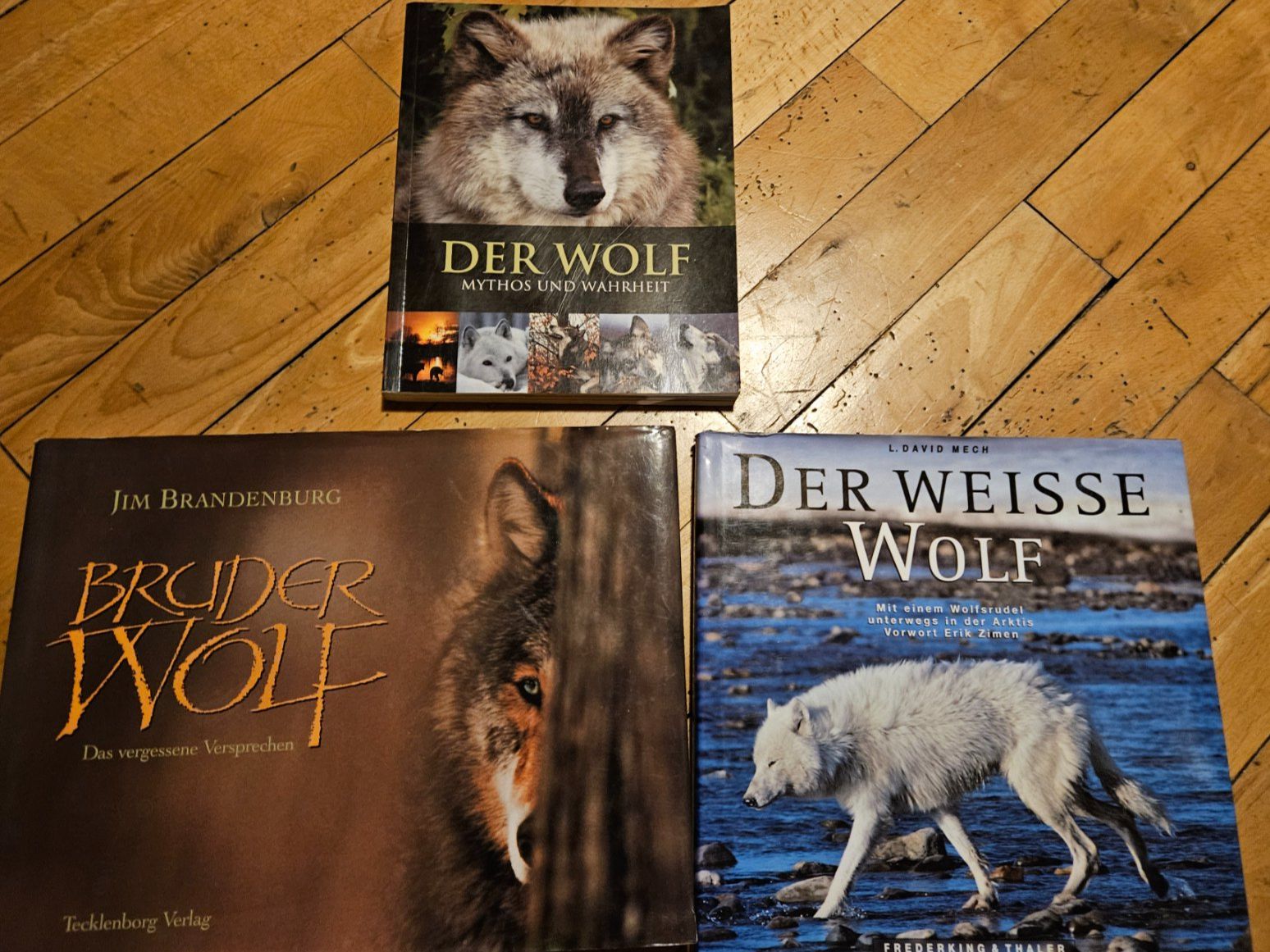 Libri: Wolf Bücher – Usato da Dallenwil venduto da energy2127