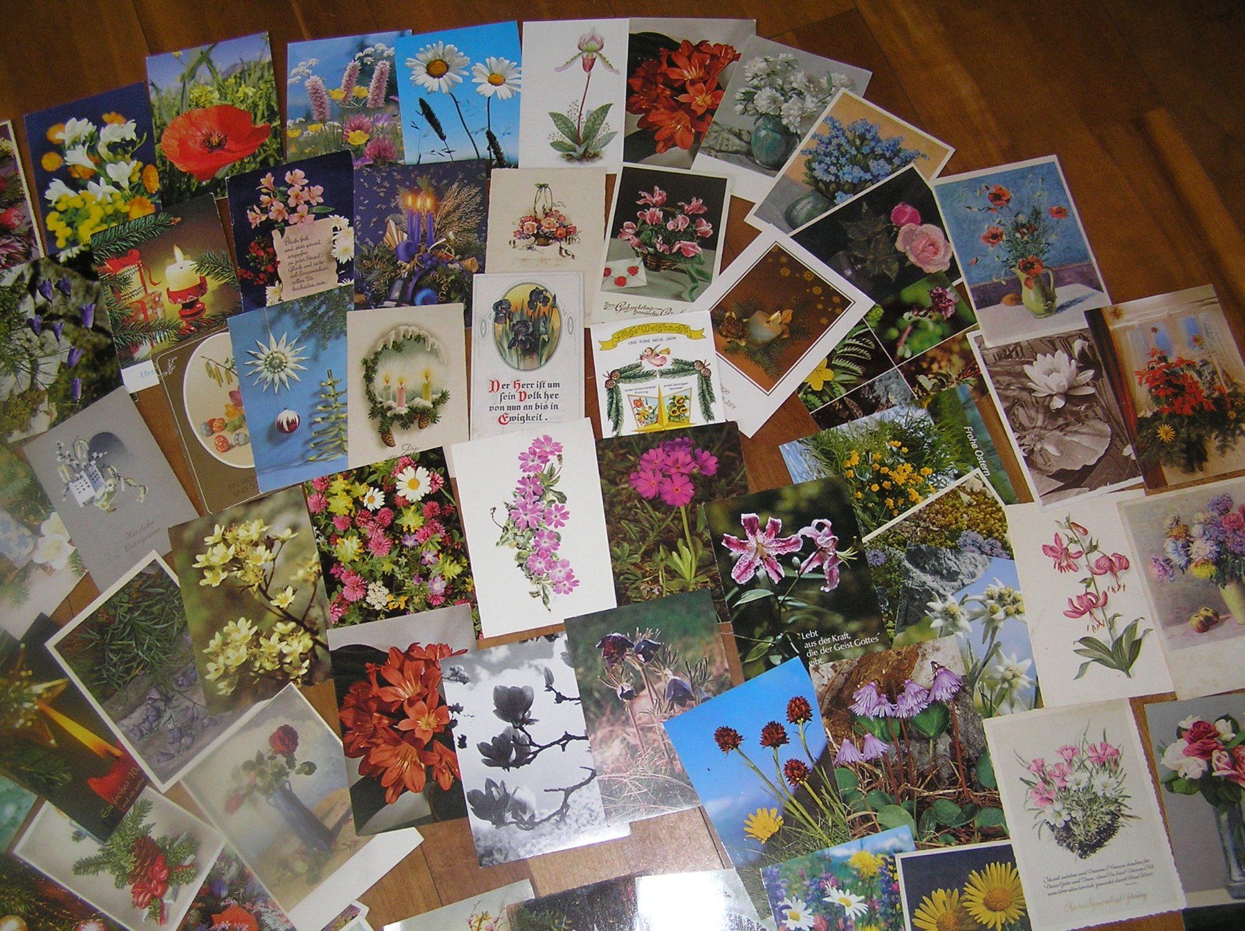Cartoline postali: 200 Gruss - Blumenkarten – Usato da Lumbrein venduto da made02 2