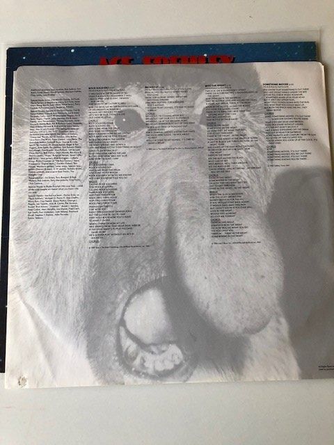 Dischi in vinile: Kiss – Usato da Aarwangen venduto da Jukebox3 5