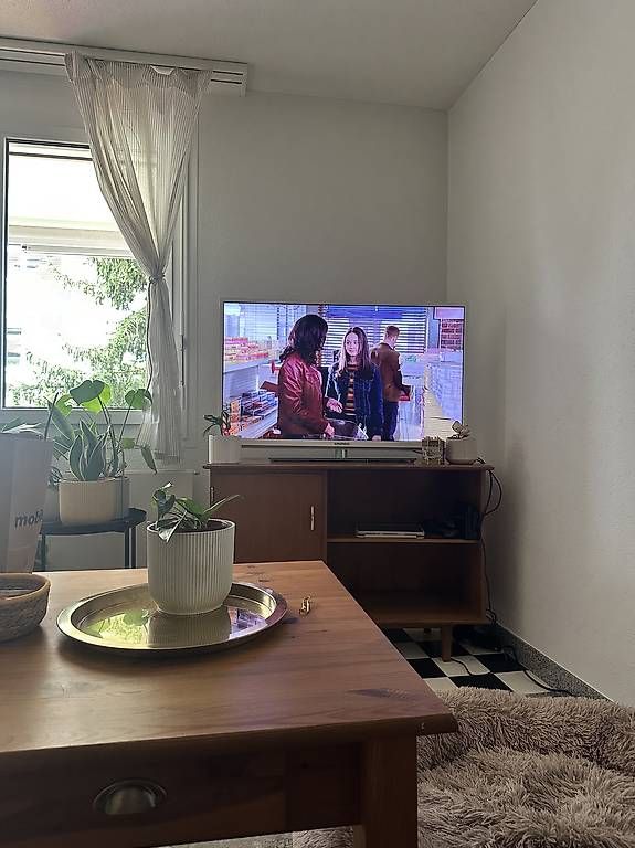Televisori: Grundig TV 42" – Usato da Zetzwil venduto da wolwernieves 2