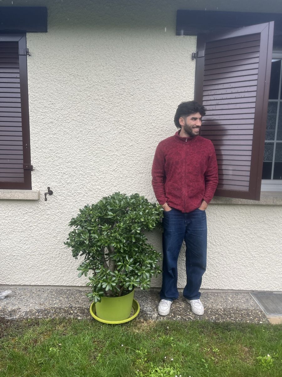 Piante & sementi: Plante Crassula Ovata – Nuovo (secondo la descrizione) da La Croix-de-Rozon venduto da tuf_f6td 5
