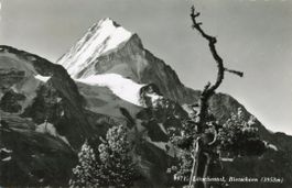 Lötschental   VS    -    BIETSCHHORN   3'953 m.   um 1958