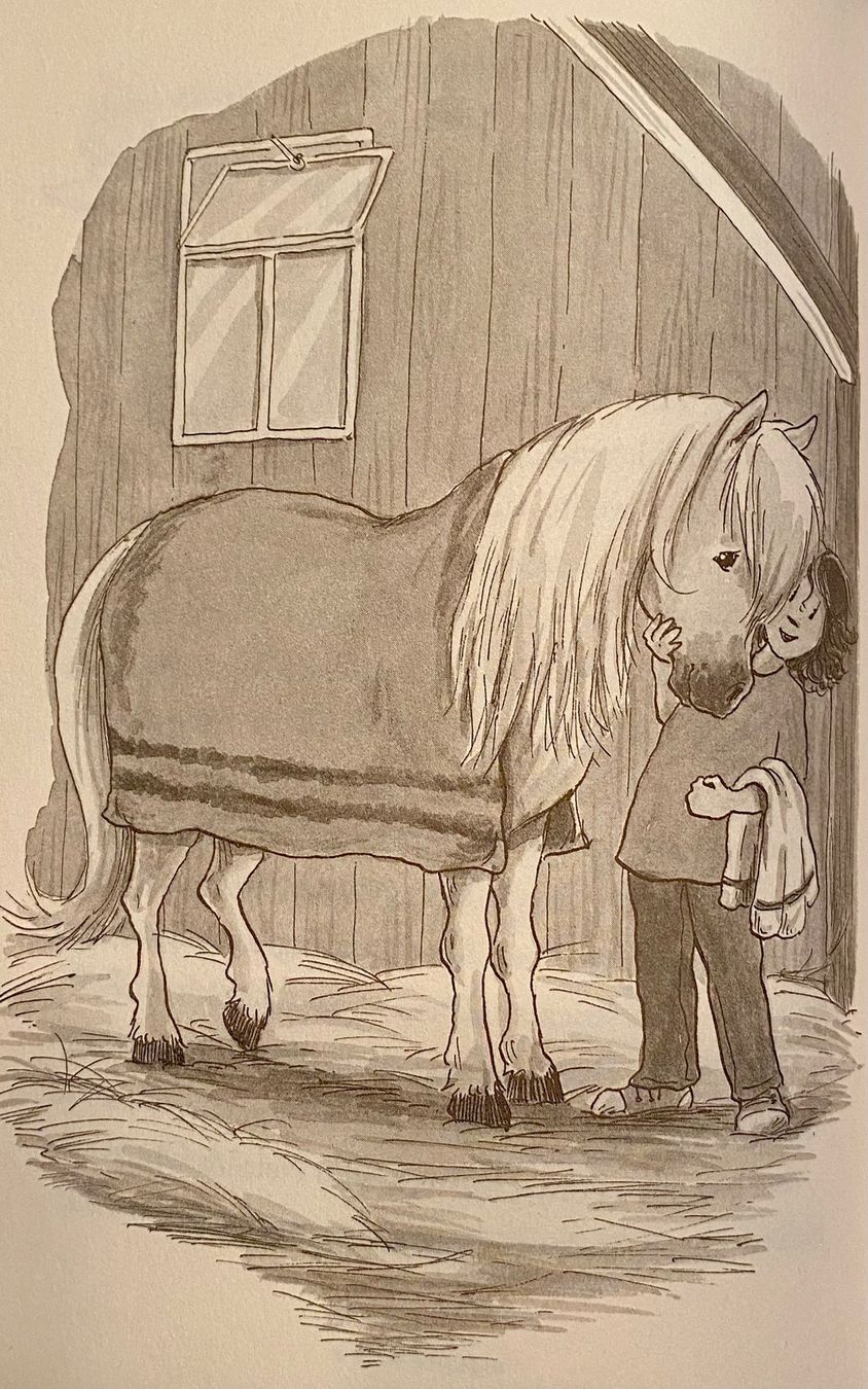 Libri: Nele rettet ein Pony / Usch Luhn – Usato da Nussbaumen AG venduto da schuba2000 6