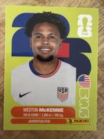 Panini USA 10