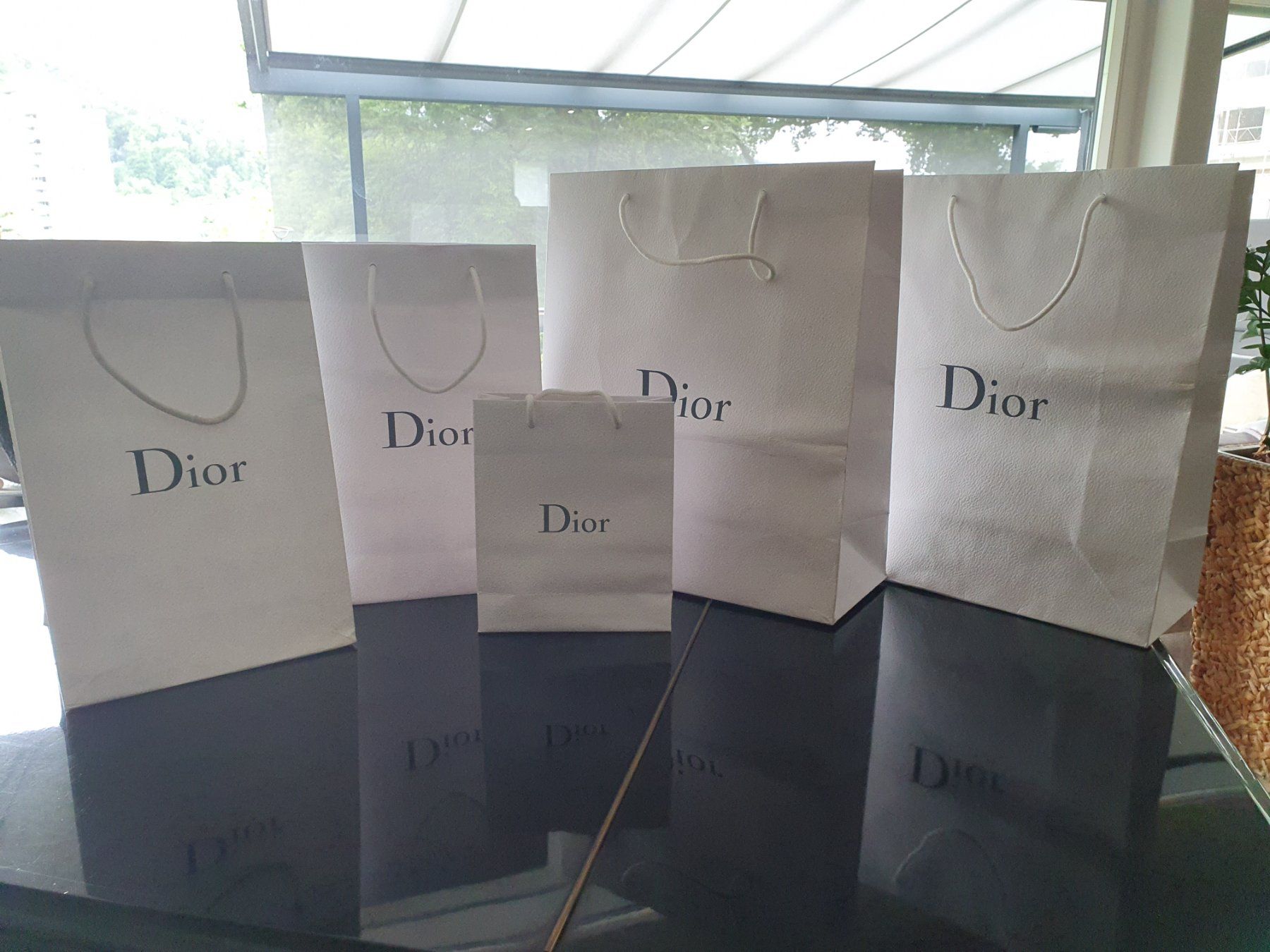 Dior Borse: 5 Dior Einkaufstaschen – Usato da Rieden AG venduto da Galina11