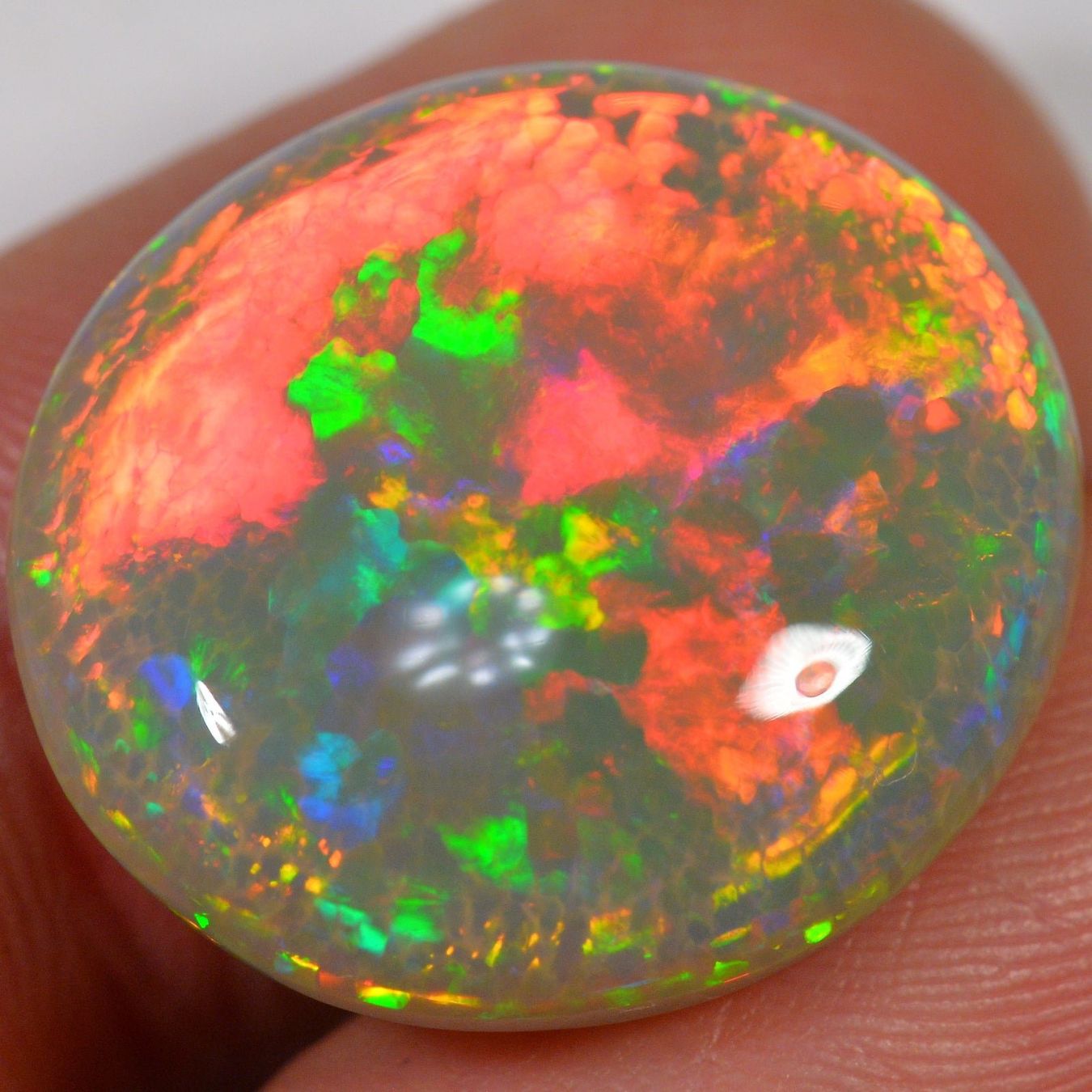 Edelsteine: 19.1 Karat - Exquisite Dunkler Äthiopischer Welo Opal – Neu (gemäss Beschreibung) aus Rüti ZH von DeinOpal 2