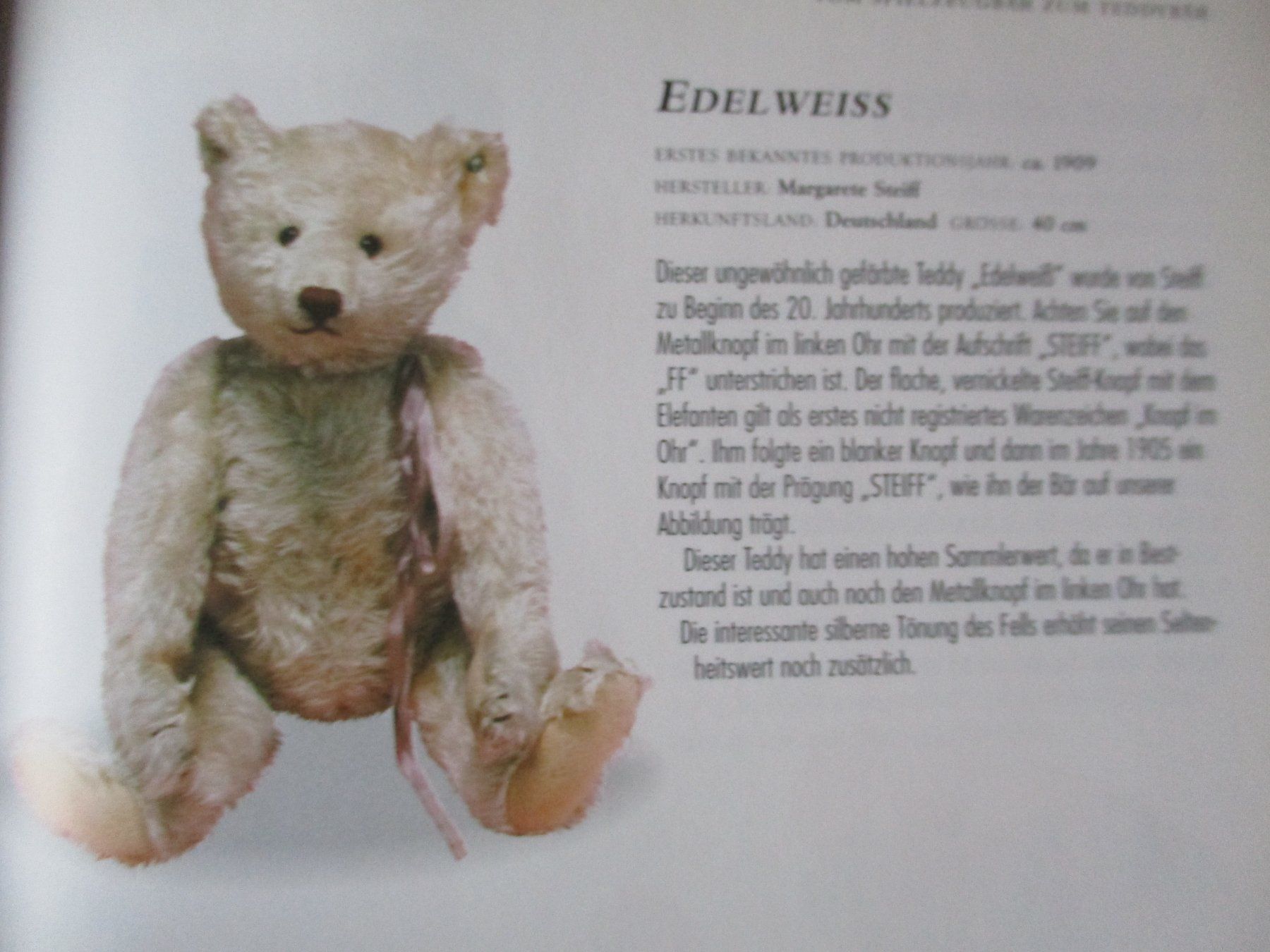 Libri: Buch  Teddybären bestimmen – Usato da Birsfelden venduto da alles-muss-raus 1