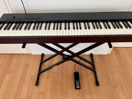 Roland F-20 Digital Piano - Top Zustand, wenig gebraucht!
