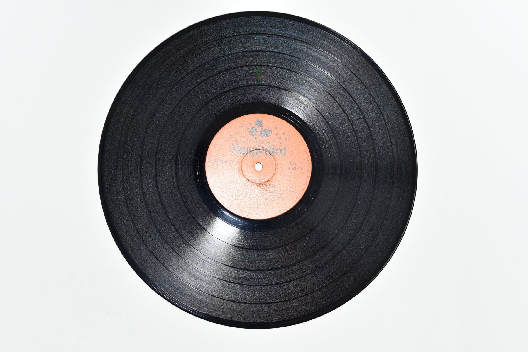 Dischi in vinile: Schallplatte Muddy Waters - Mud In Your Ear – Usato da Glis venduto da AtelierManus 2