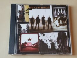 Hootie & The Blowfish cracked rear view