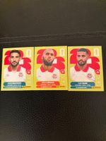 Panini TUN 10,16,17