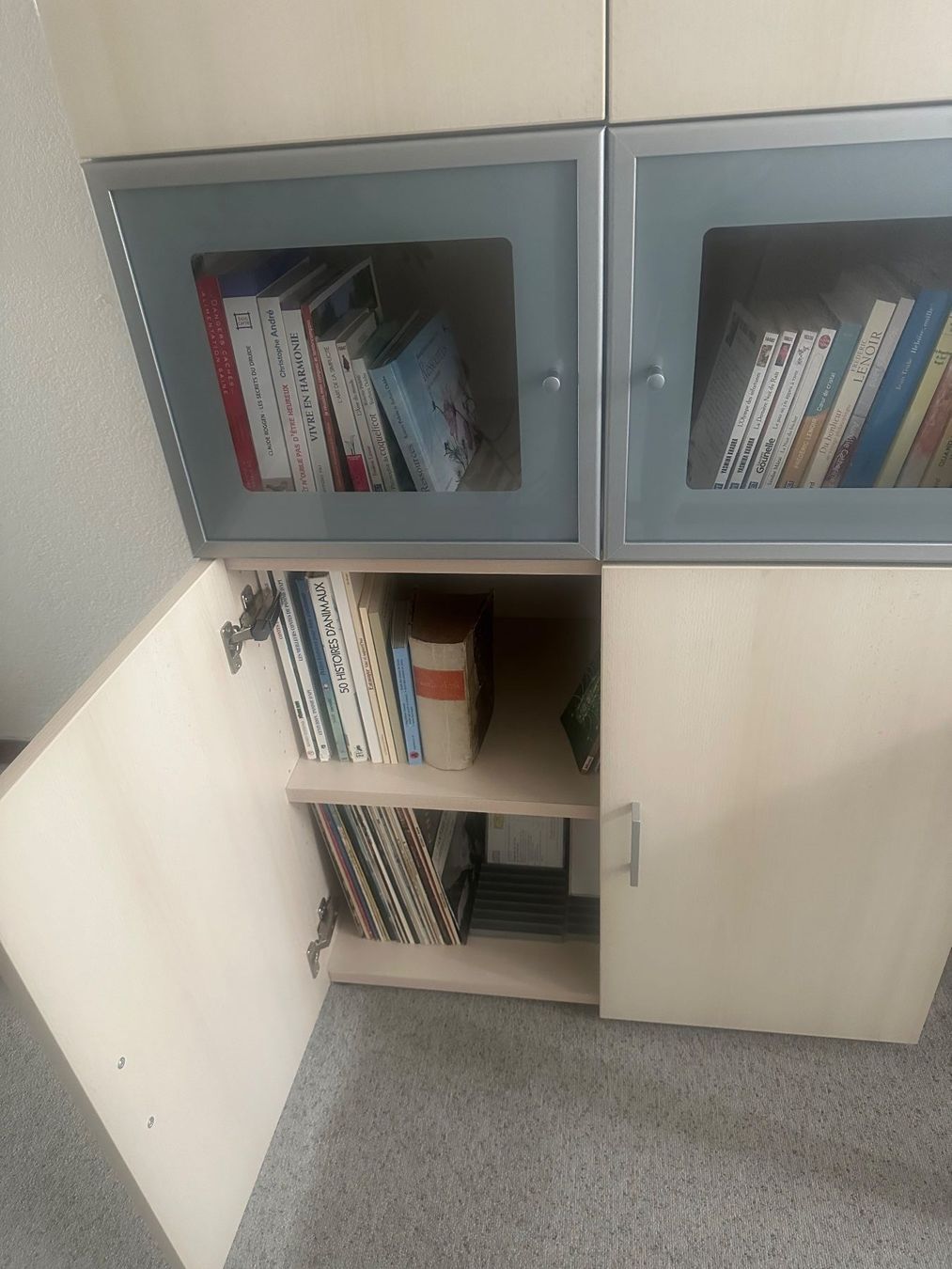 Scaffali: Bibliothèque avec portes – Usato da St-Aubin FR venduto da orev63 2