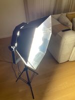 Walimex Daylight 1750 Lampe mit Stativ WT-803 gebraucht