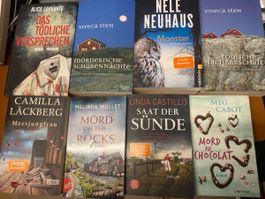 Bücher Konvolut Krimi-Thriller guter Zustand