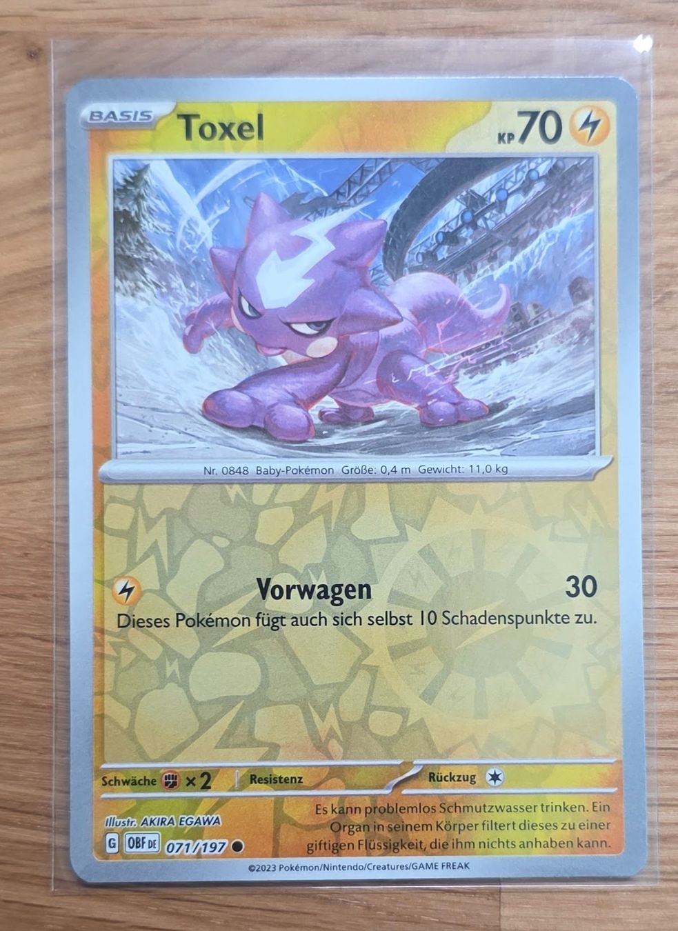 Pokémon Carte collezionabili: Toxel 071/197 – Nuovo (secondo la descrizione) da Arbon venduto da Twist05