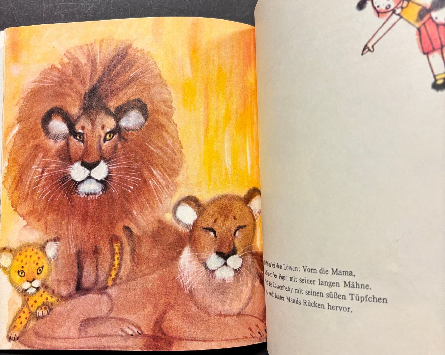 Libri: Im Zoo – Nuovo (secondo la descrizione) da Sarnen venduto da Livres 5
