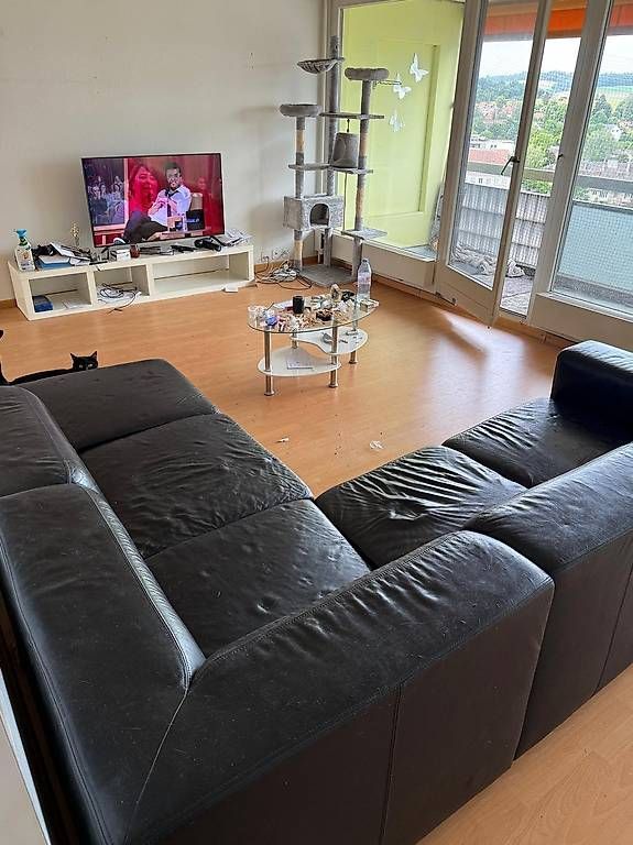 Sofas: Polstergruppe / Ecksofa - Leder – Gebraucht aus Dietikon von m53 1