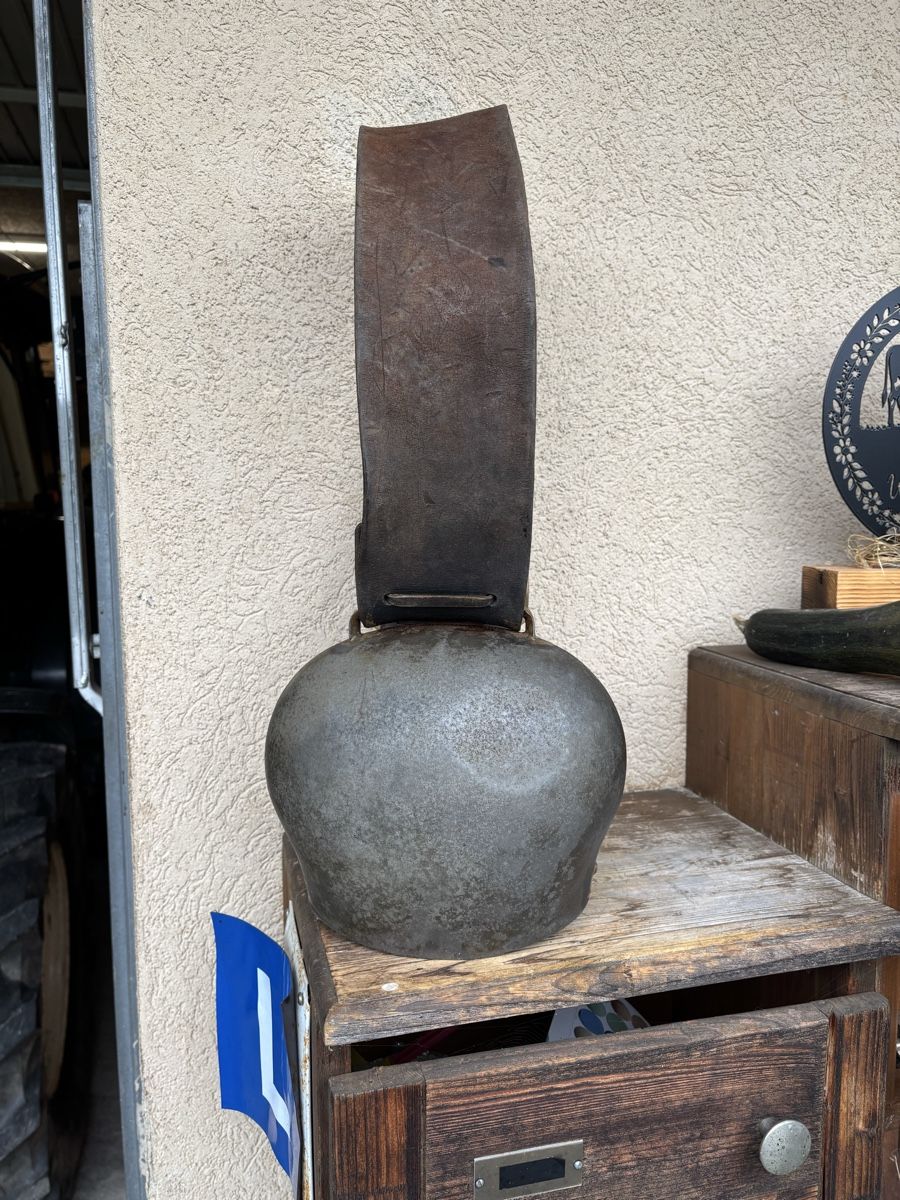Glocken & Treicheln: Varonne NR 17 – Gebraucht aus Schangnau von Roseggli82 6