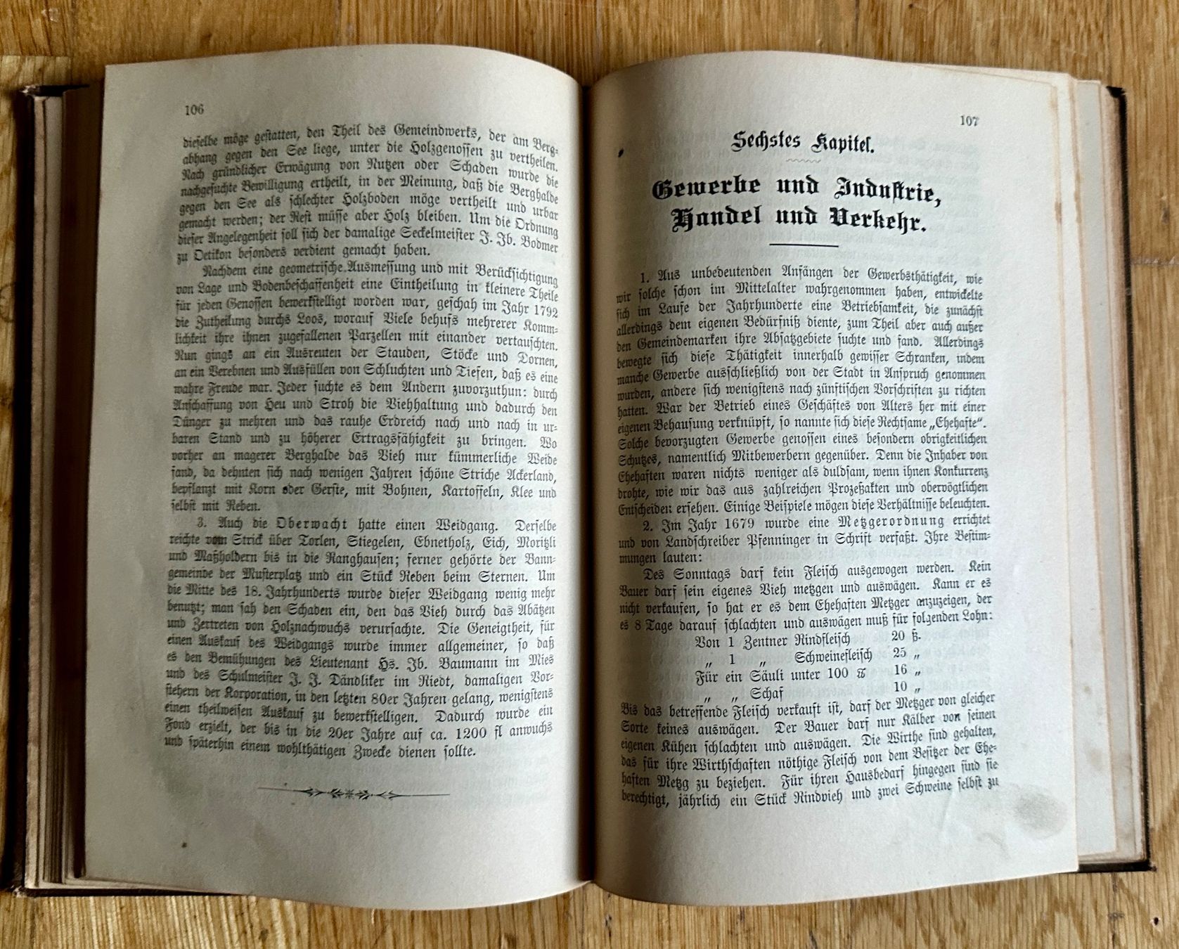 Libri: G. Bodmer: Chronik der Gemeinde Stäfa. 1894 – Usato da Zürich venduto da allp 7
