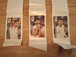 Panini WM 26 Coca Cola Sticker CC 4 CC 5 CC 12