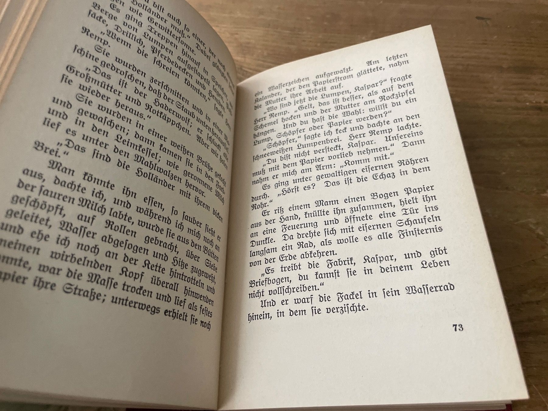 Libri: Der Bodenseher -Ludwig Finckh 1914 – Usato da Winterthur venduto da cheerio97 4