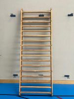 1er Sprossenwand leicht #3