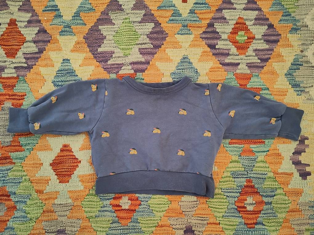 Pulls et sweat-shirts: Tinycottons 80/86 – D'occasion à Bottmingen par ili_7c8k