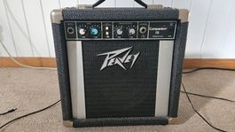 Peavey Companion 15