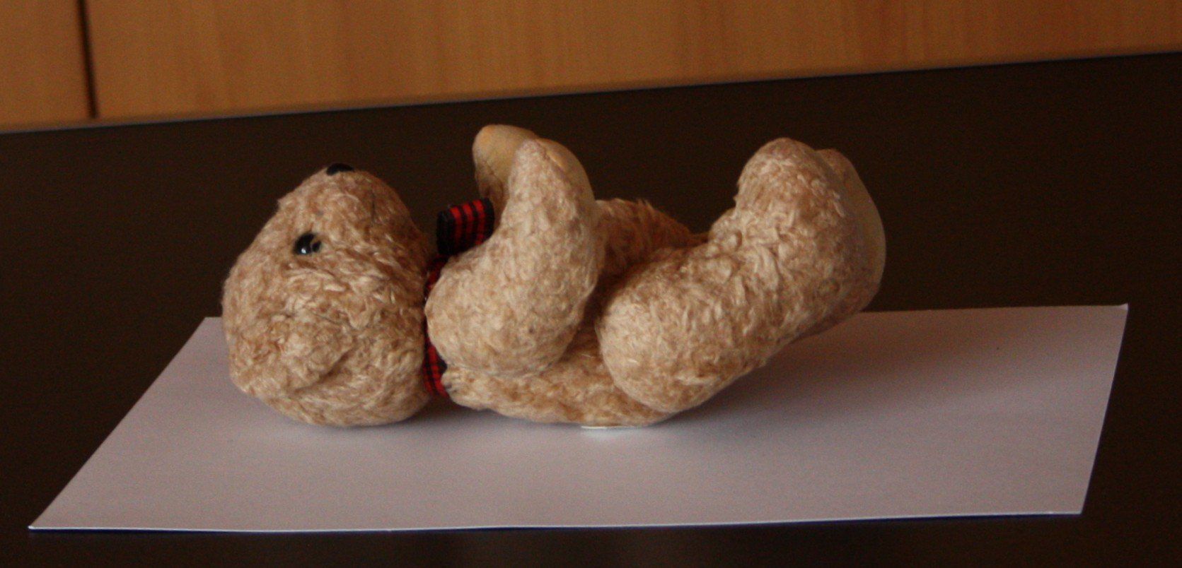 Giocattoli: Teddybär Bär  klein  Gliedmassen beweglich – Usato da Flüelen venduto da Diversicum-Shop 5