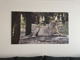 Grossformat-Bild Löwin (Unikat)