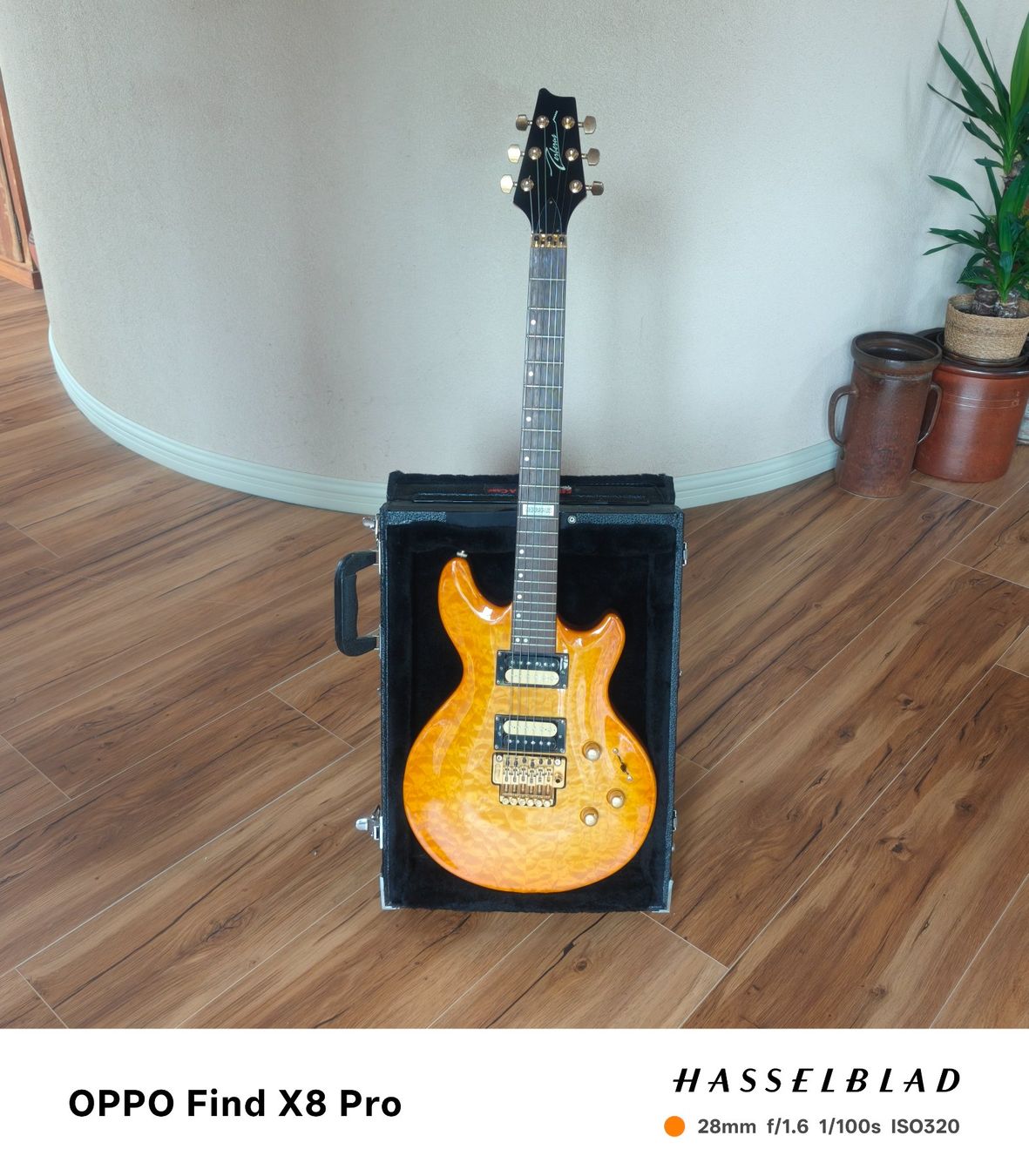 Strumenti musicali: Zerberus Q-Deluxe Jg. 2003 – Usato da Seuzach venduto da Markleeroy 9