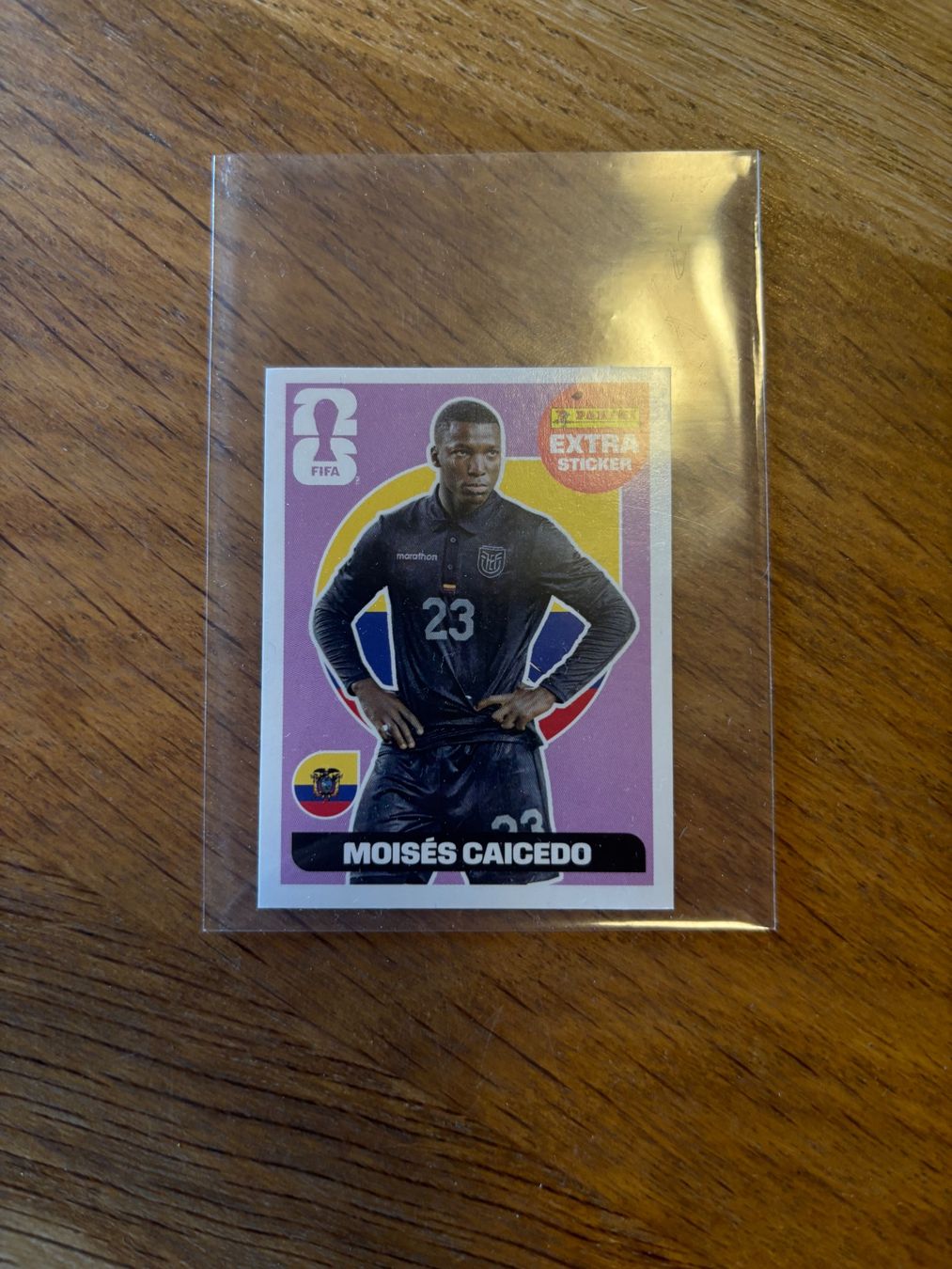 Panini Sammelbilder & Trading cards: Moises Caicedo Panini Extra Sticker in Top Zustand. – Neu und originalverpackt aus Marbach LU von Mckayla4