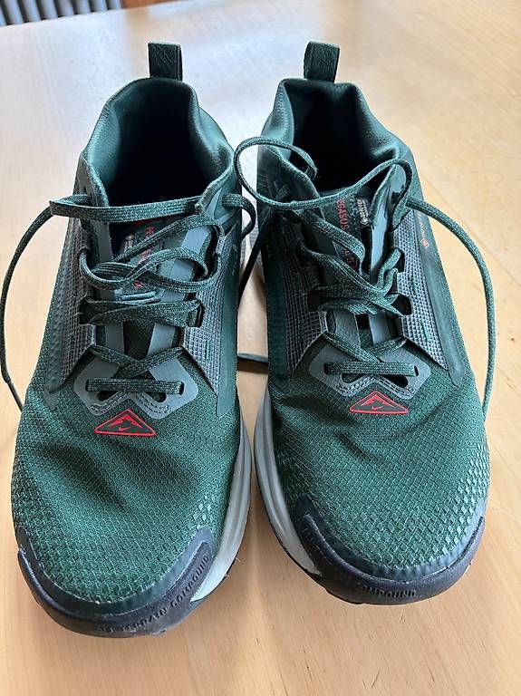 Scarpe da uomo: Nike Pegasus Trail 5 GTX 42.5 – Usato da Cugnasco venduto da malbeats