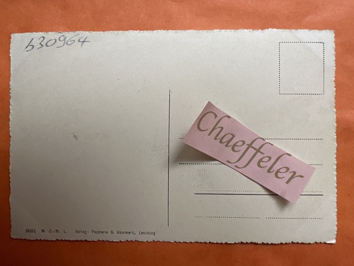 Cartoline postali: Schloss Lenzburg  – Usato da Zürich venduto da Chaeffeler 1