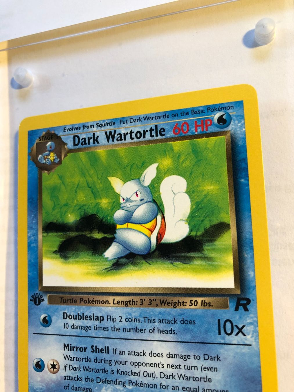 Carte collezionabili: Dark Wartortle (unc.) Team Rocket 1st - MINT - ab 1.- – Usato da Giubiasco venduto da dan_pr8b 3