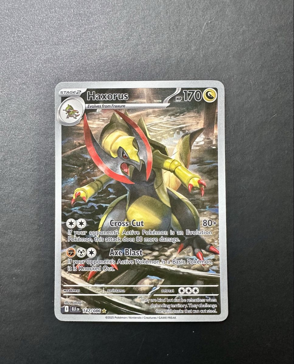 Pokémon Carte collezionabili: Haxorus #147 - Pokemon Black Bolt – Usato da Bern venduto da HugoStiglitz11