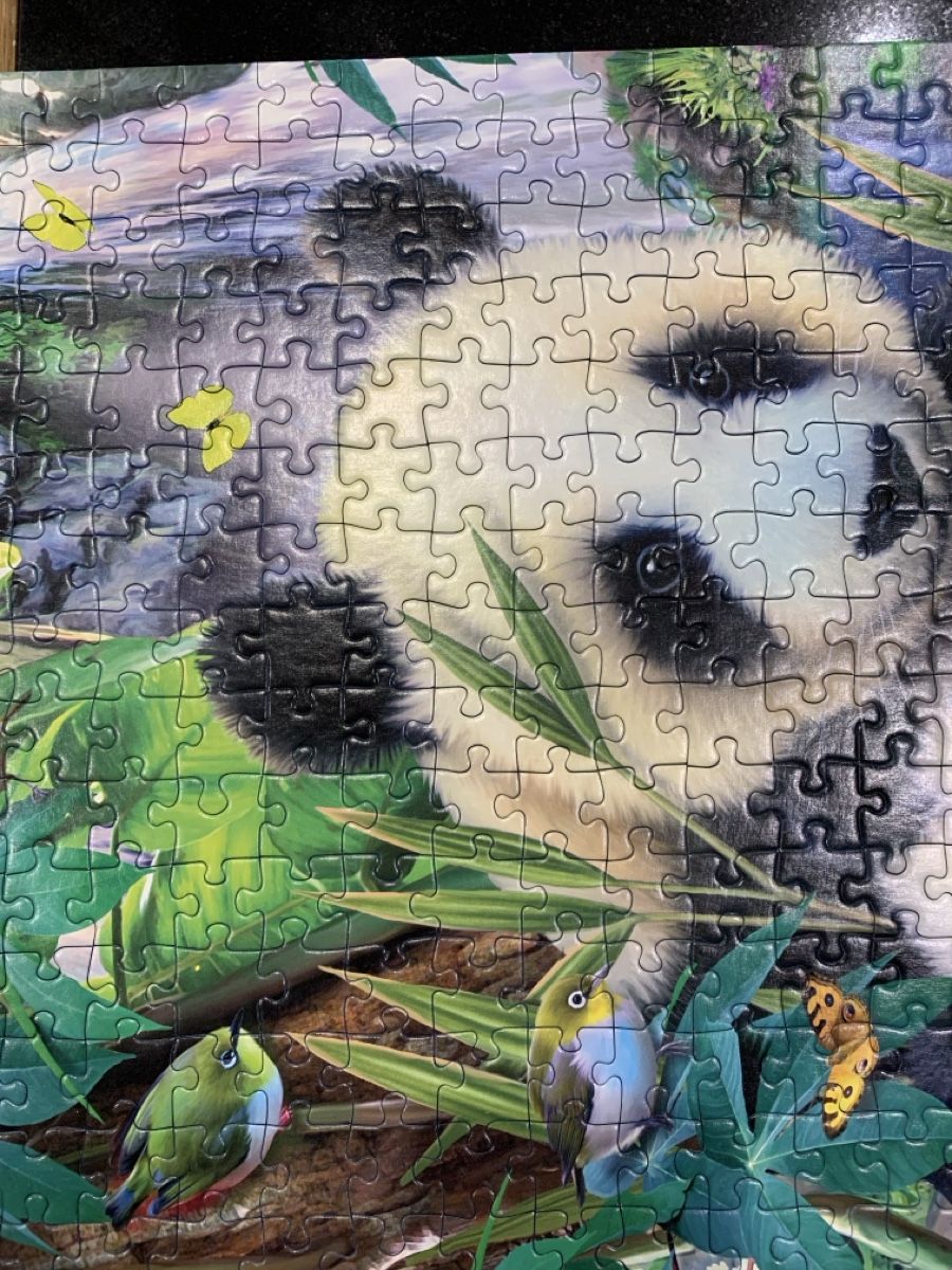 Puzzles: Ravensburger Puzzles 2x 300 pièces – Neuf (Voir description) à Prilly par Sissi_1009 7