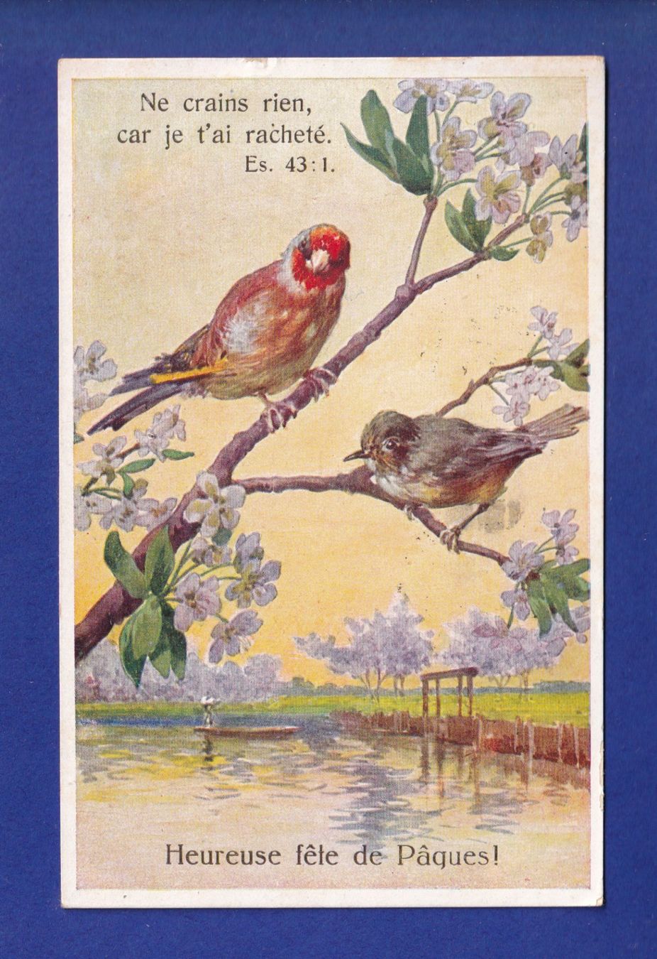 Ansichtskarten: OISEAU - Verset – Gebraucht aus Pully von nicecards-shop