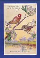 OISEAU - Verset