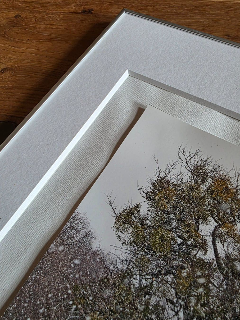 Foto & Immagini: Fotographie Bild wunderbarer Baum im Winter – Usato da Walterswil BE venduto da Lonitti 5