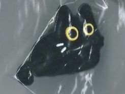 Süsse  - Schwarze Katze, Pin
