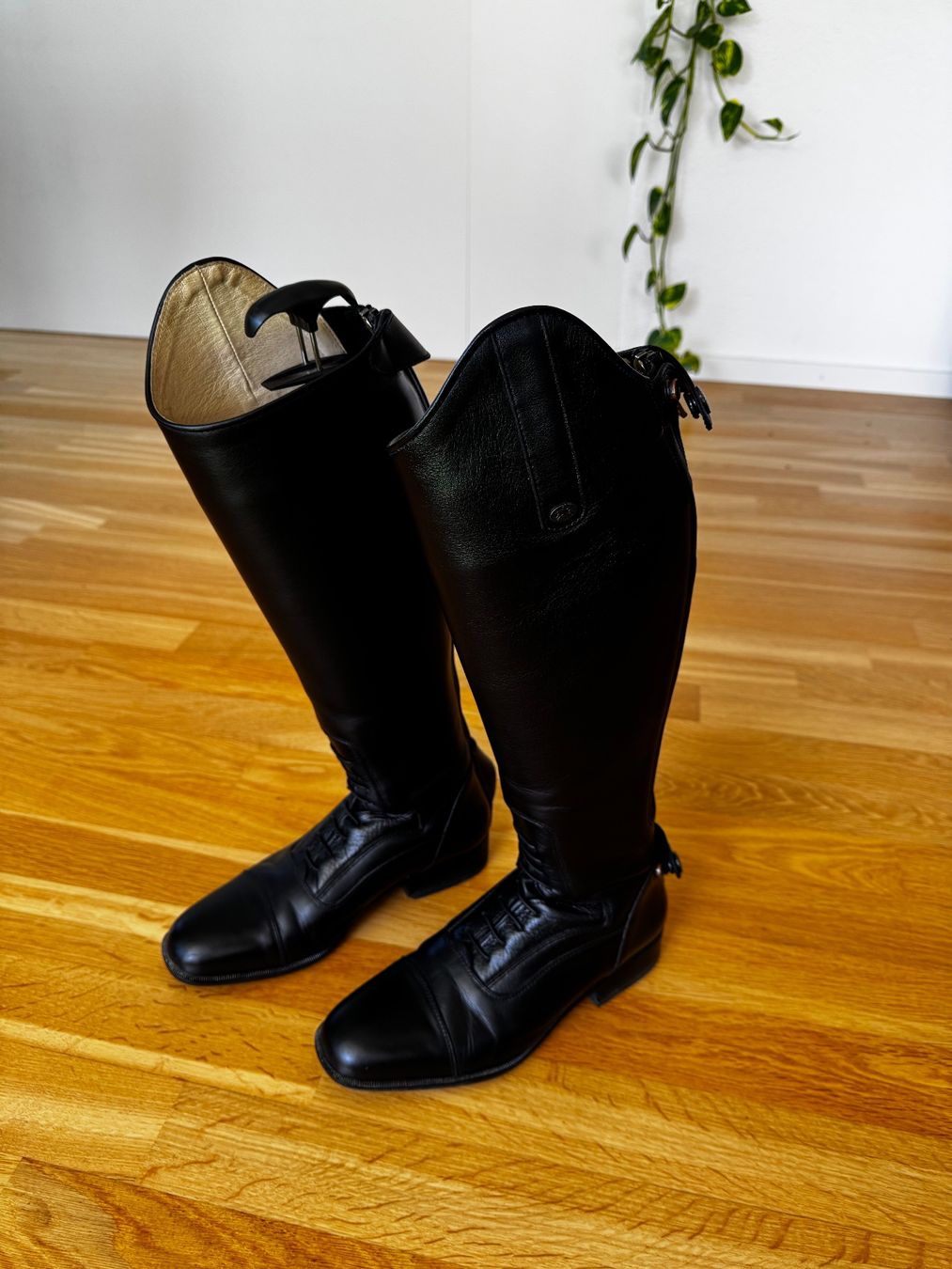 Felix Bühler Scarpe da uomo: Reitstiefel schwarz – Usato da St. Gallen venduto da Zansoft