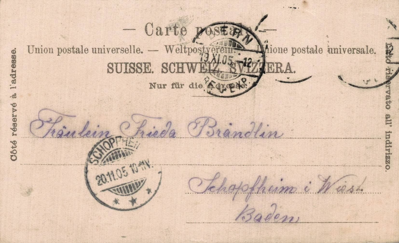 Cartoline postali: Ansichtskarte Bern Bärengraben, gestempelt 1905, Litho – Usato da Luzern venduto da Kartenansicht 1