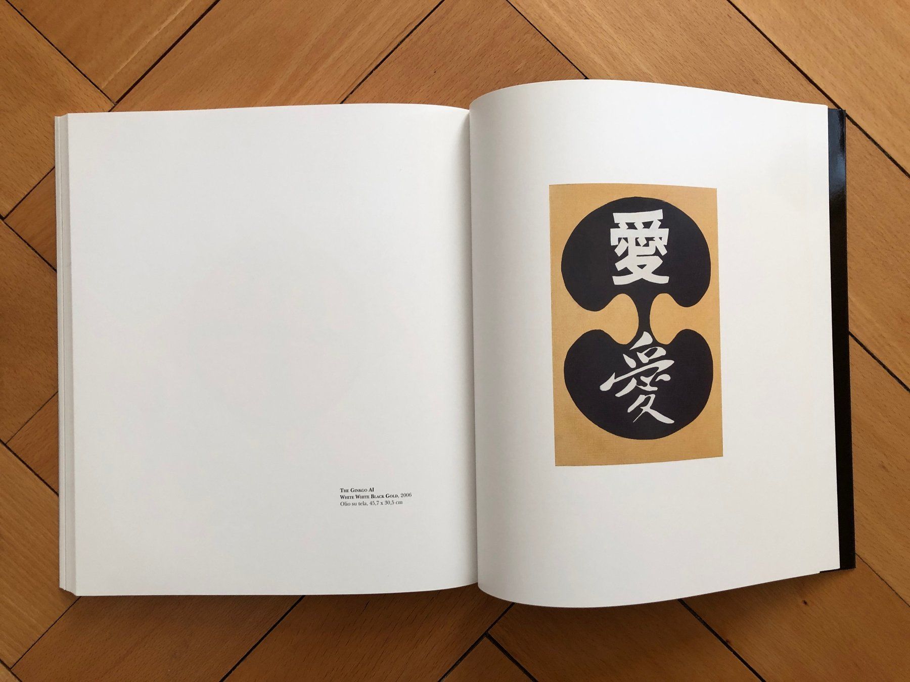Libri: Kunst Buch: ROBERT INDIANA – Usato da Lugano venduto da gio.yo 8